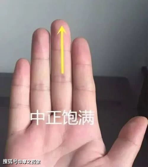 （四）无名指：配偶关系与家庭责任承担