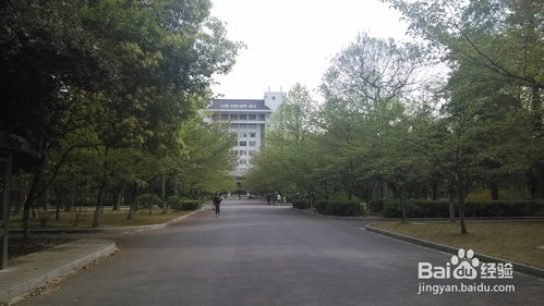 别傻了！东南亚真实的不是“贫穷游万能药”， 选错地方等于白搭