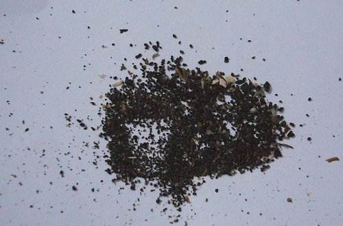 孕妇梦见老鼠屎落在自己衣服上是什么寓意或象征？