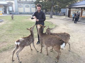 政治风水与权谋布局：赵高的野心与焦虑