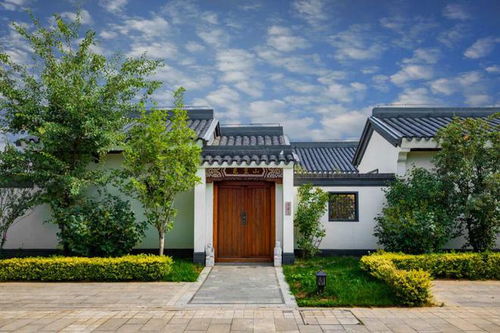 花园布局的惊天大坑！