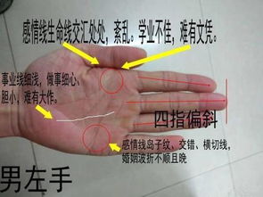 二、化解漏财运势的实践策略