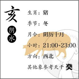 一、 八字格局与“皮胡子精”相依关系的系统阐释