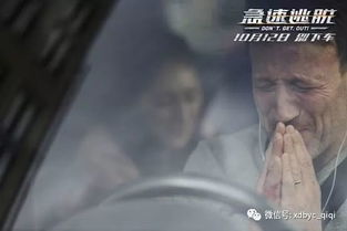 ：基于玄学视角的“厨神绑匪密室逃脱”事件深度剖析
