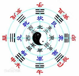 西北方位树木风水有哪些大忌不能犯？