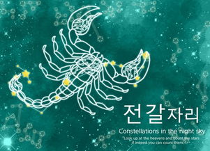 属牛天蝎女2026年运势和明天运势分别如何？