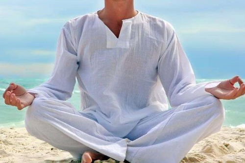 内炼技术的多样性与核心目标