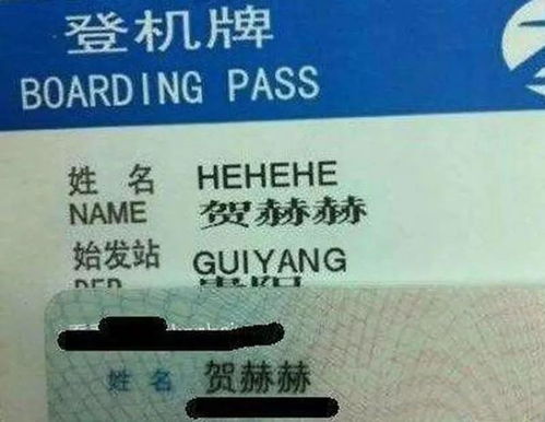 1. 谐音转化， 赋予新意