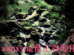 除了门票， 这一些细节才是真实·优惠