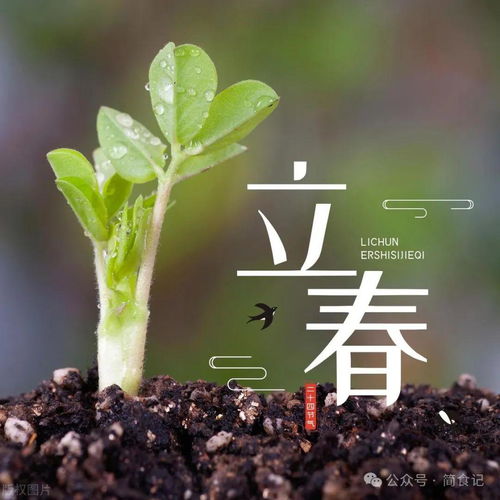 2024年立春躲春的生肖与今年立春躲春的生肖有何不同？