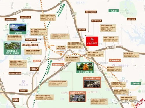 1996年属鼠女性在2026年的财富运势如何？