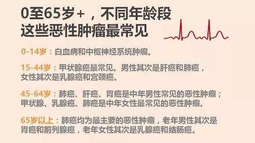 第一章：“全家健康灵签”的文化底蕴与中医理论阐释