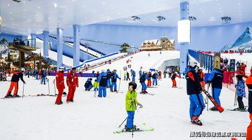 2026年属鼠人的感情运势分析具体表现如何？