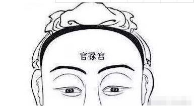 （五） 耳朵与下巴：福气的容器与财富的守成