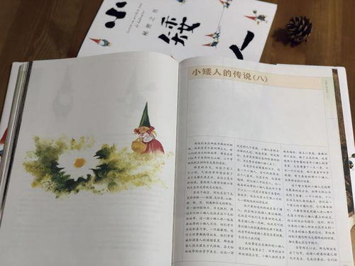 如何运用风水小妙招改善家居环境？