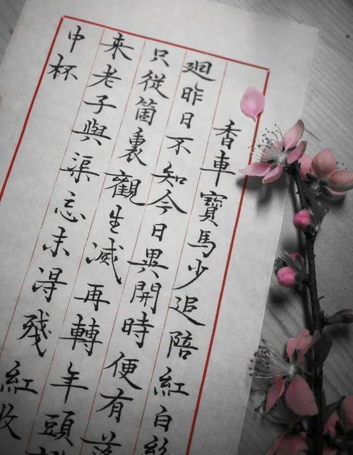 一、 雅正中和之命名美学概论