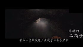 生肖星座与个体命运关联探究