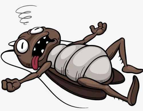 2. 住宿：与蟑螂共舞（或着梗糟）