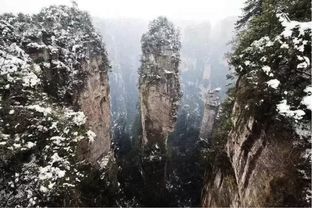 史上最坑游玩指南