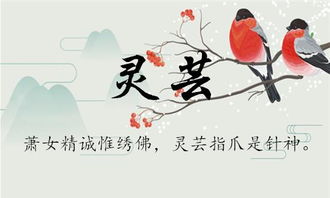 命名创意灵感来源大集合（噪音版）——请随性阅读吧！