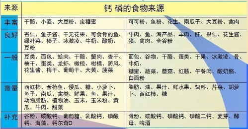 科学视角的审视：可信度与局限性