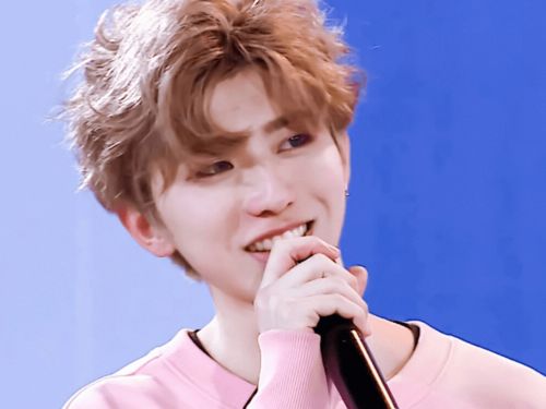 (2) 强调偶像属性的崇拜型