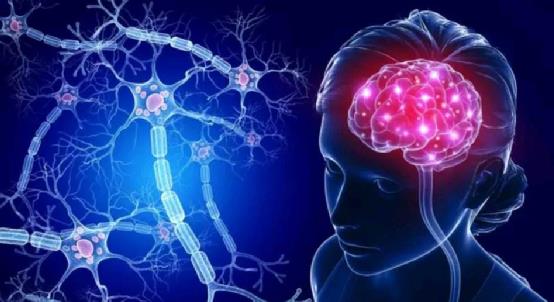 一、 梦境中腰部受伤的象征意义及其经济暗示