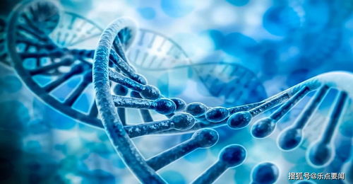 2. 命运预测的理论基础与文化心理