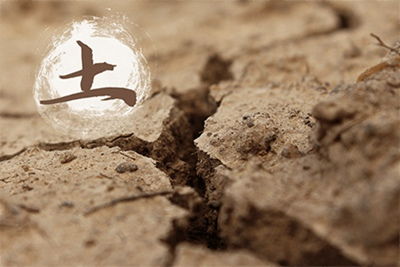 三、财运格局分析：稳定中蕴藏机遇