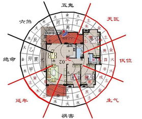 2021年正西方位招财布局的具体措施