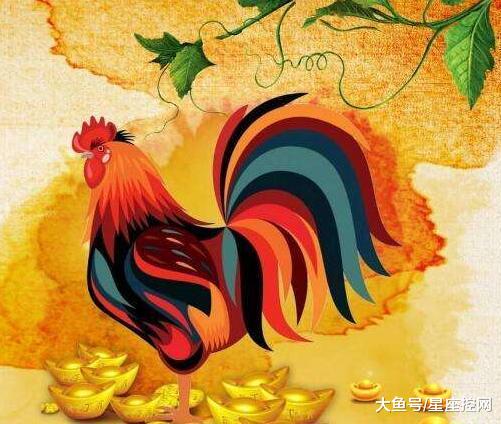四、 财运走势的层次化解析