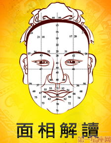一、整体布局