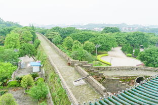 红旗河沟花市：一场惯与花的、 生活的、以及一点点绝望的旅行