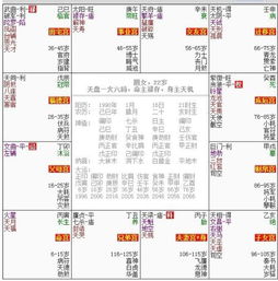 ：数字化时代的命理热潮与公众探究
