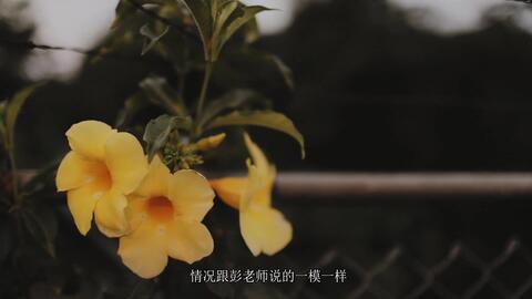 算命测姻缘时，如何提问才能准确了解我的感情运势？