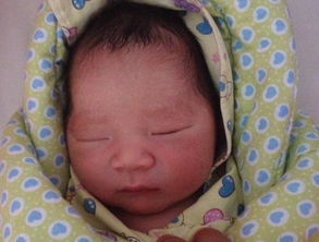 2025年水果乳名100个取名书，有哪些水果名适合新生儿？