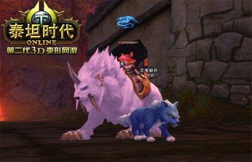 外貌特征与内在性格