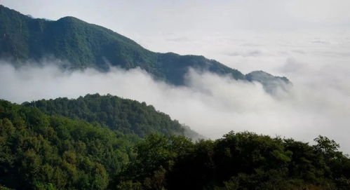 景区里的那些奇葩事