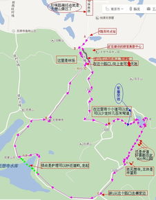 溧水无想山到底值不值得去？我用血泪史告诉你真相！