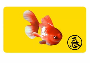 3.1 金鱼