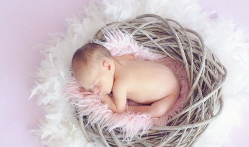 星座元素：揭秘宝宝的个性密码