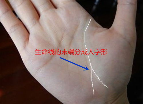 3. 月丘的丰满：社交能力与情感深度的双重保障