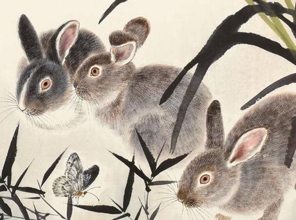 美如冠玉的生肖是哪个？