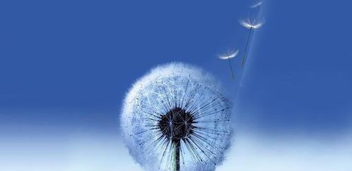 星座指引下的心灵灯塔：人生方向的确立与精神世界的照亮