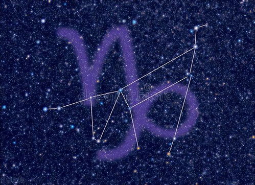 摩羯座：闷声发大财