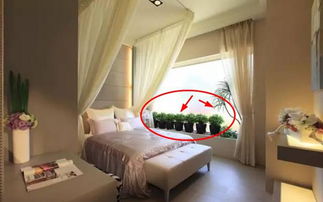 卧室养花风水，楼顶水塔影响卧室风水，如何改善？