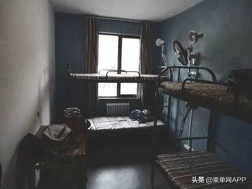 逃脱的无望