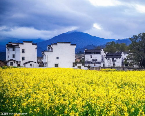 江西婺源：除了人多还是多