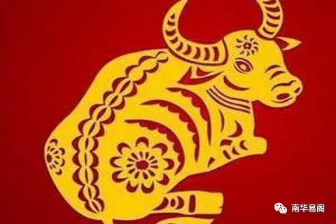 1.2 本命年与流年犯太岁的区别