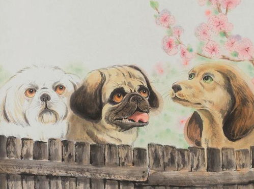 二、狗系人格の闪光时刻